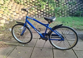 Venice Cruiser Bicycle