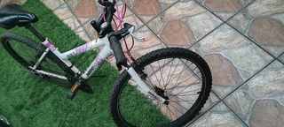 2 Mountain bikes for R2000