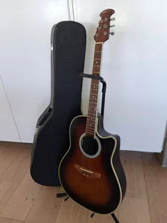 Guitar - Ad posted by Mrs. Corinne Richards