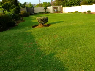 Garden and landscaping