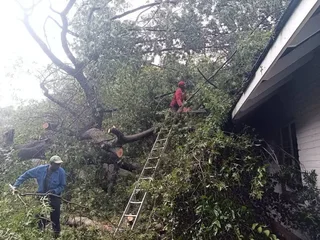 Tree felling and rubble removal
