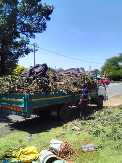 Tree felling and rubble removal