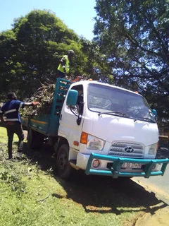 Tree felling and rubble removal