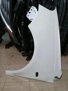 Polo vivo fender