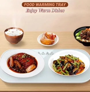 Food warming trays for sale online orders only
