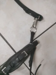 Leather bitless bridle for horse.