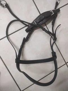 Leather bitless bridle for horse.