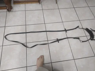 Leather bitless bridle for horse.