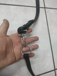 Leather bitless bridle for horse.