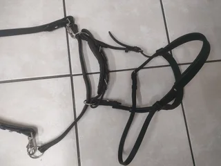 Leather bitless bridle for horse.