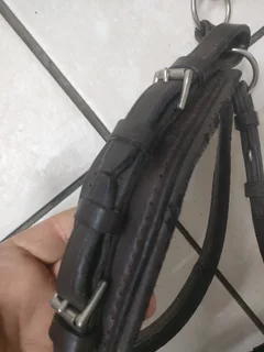 Leather bitless bridle for horse.