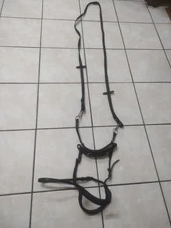 Leather bitless bridle for horse.