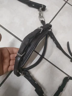 Leather bitless bridle for horse.