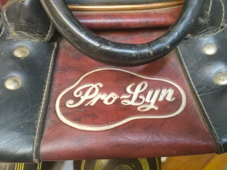 lawn bowls -x 4 . woods: Hemselite Campion with leather bag