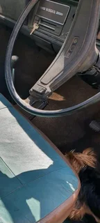 1974 Datsun bakkie in fair condition. Has been resprayed.