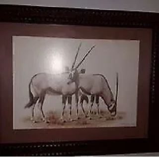 Four Beautiful Hardwood framed pictures of different types of bok