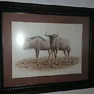 Four Beautiful Hardwood framed pictures of different types of bok