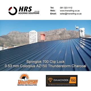 Roof Sheeting Contractor: IBR, Corrugated, Diamondek 407. Asbestos Roof Sheets &amp; Gutter Removals