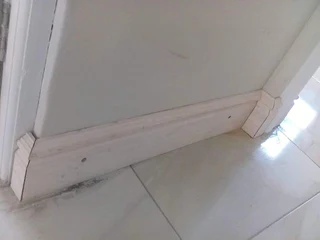 Carpenter  available for u