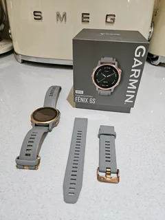 Garmin Fenix 6s Pro Sapphir