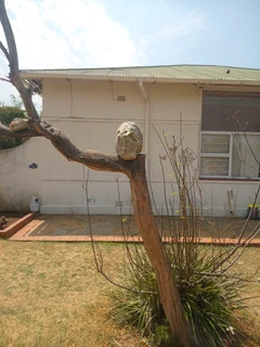 gemstone Gemstone ornamental raw Prehnite