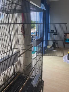 Large Multi-Purpose Cage  in Great Condition!