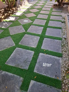 Refuse and Rubble Removal and more!