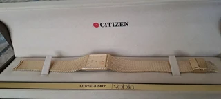 Citizen Golden watch unwanted gift