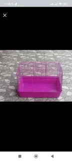 Rabbit cage