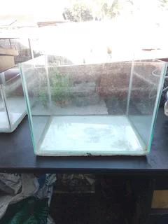 Fish tanks