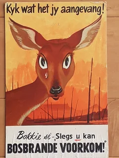 Poster of Bokkie