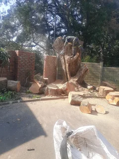 Queensburgh Tree felling services