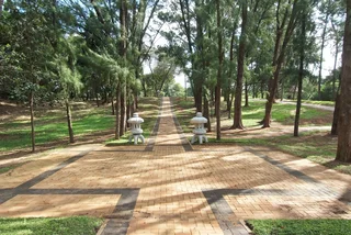 Transform your outdoors with precision paving. Call Dura Pave on 082 723 0293.