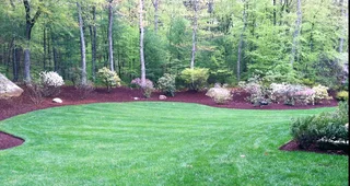 Transform your lawn with premium artificial grass. Call Dura Pave on 082 723 0293.