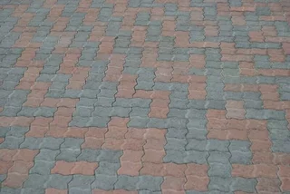 Professional paving you can trust. Call us on 082 723 0293.