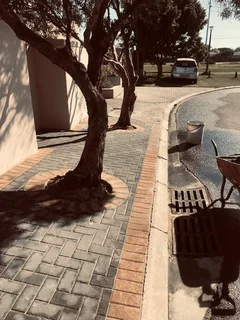 Lush Looks - Lasting quality. Call Dura Pave for a FREE quotation on   082 723 0293