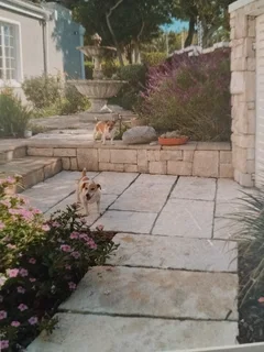 From Dull to Dazzling! Contact Dura Pave on 082 723 0293 for a quotation.