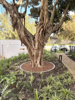 A rustic Retreat or a Modern landscape? we bring your vision to life!  Call Dura Pave - 082 723 0293