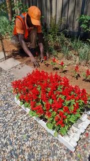 Skilled Gardeners R5, 000 pm South Africans ONLY.
