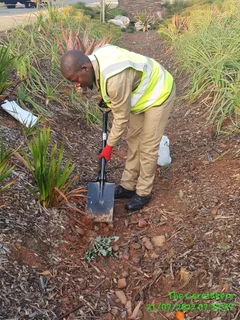 Skilled Gardeners R5, 000 pm South Africans ONLY.