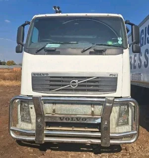 Volvo Fh480 Horse On Clearance Special