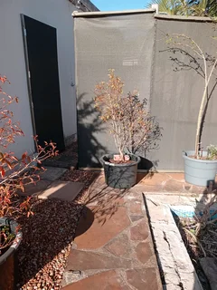 Fiddlewood trees (I have 3)