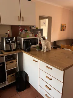 Newly renovated two-bedroom flat in central Durbanville, available now