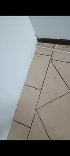 Pest Control and Fumigation Services