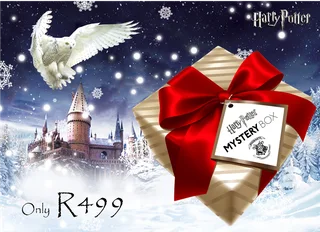 Harry Potter Christmas Mystery Box