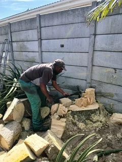 Tree. Felling stump removal