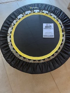 Rebounder - Ad posted by Julie Louw