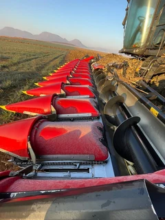 Gerringhoff 12 row 76cm Folding header with 4 auto sensors