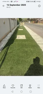 Artificial Grass