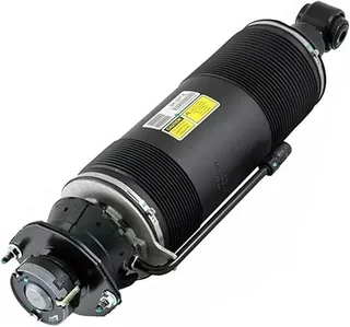 Mercedes SL-Class (R230) Rear Left ABC Hydraulic Shock Strut (2001-2012)